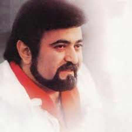 تصویر فرزین