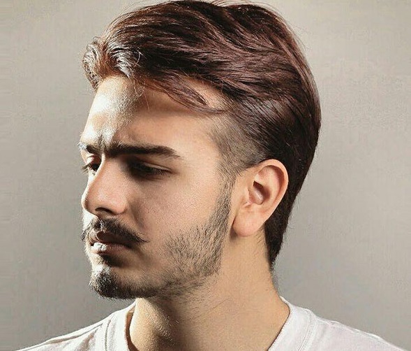 تصویر هوتن هنرمند