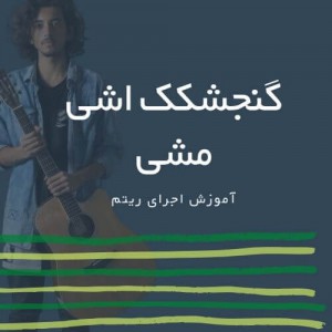 تصویر ریتم گنجیشکک اشی مشی از فرهاد