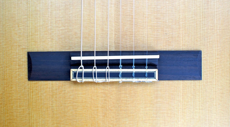 اکشن گیتار چیست و چه عواملی باعث تغییر اکشن می‌شود؟