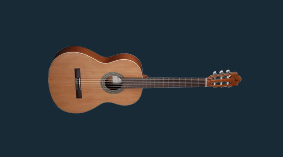 آخرین قیمت گیتار آلمانزا Nature 400